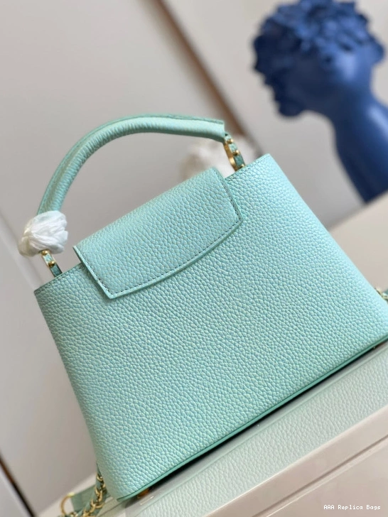 Aaa replica bags VUITTON BB LOUIS CAPUCINES 0807